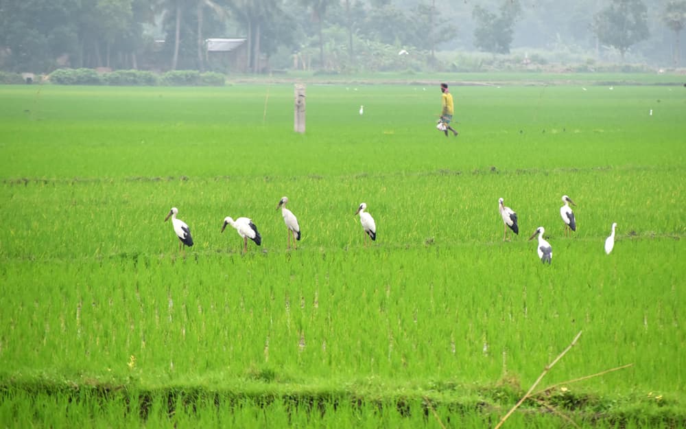 দিনের ছবি (১০ আগস্ট, ২০২৩)