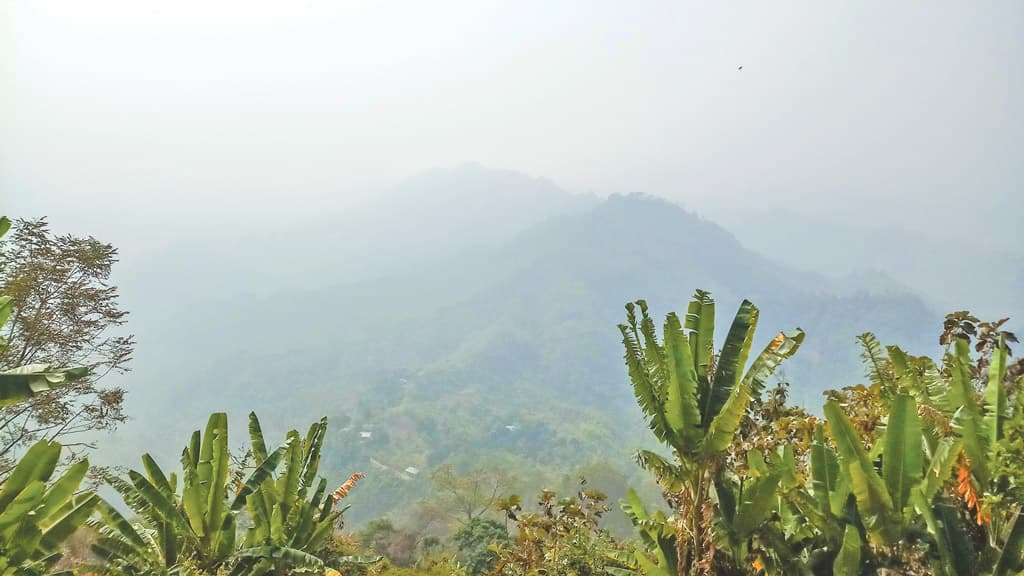 ফুরমোন মানে ফুরফুরে মন