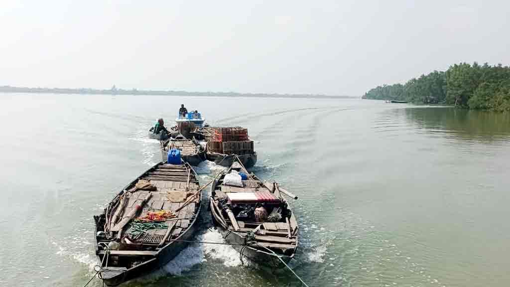 সুন্দরবনের অভয়ারণ্য থেকে ৮ নৌকাসহ ২৩ জেলে গ্রেপ্তার