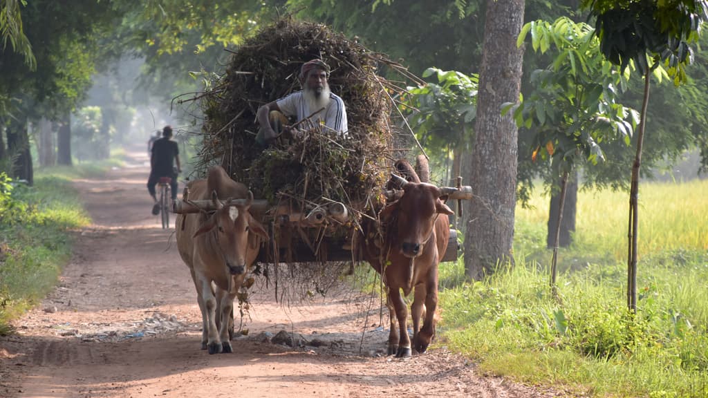 দিনের ছবি (২৭ অক্টোবর, ২০২৩)