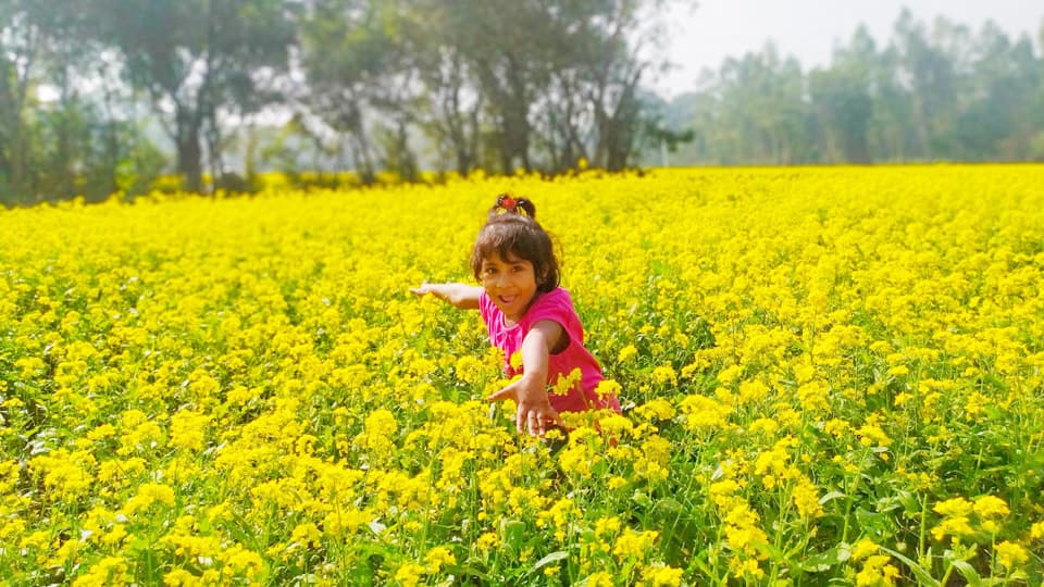 বিলীনের পথে পৌষের রোদমাখা সেই দিন