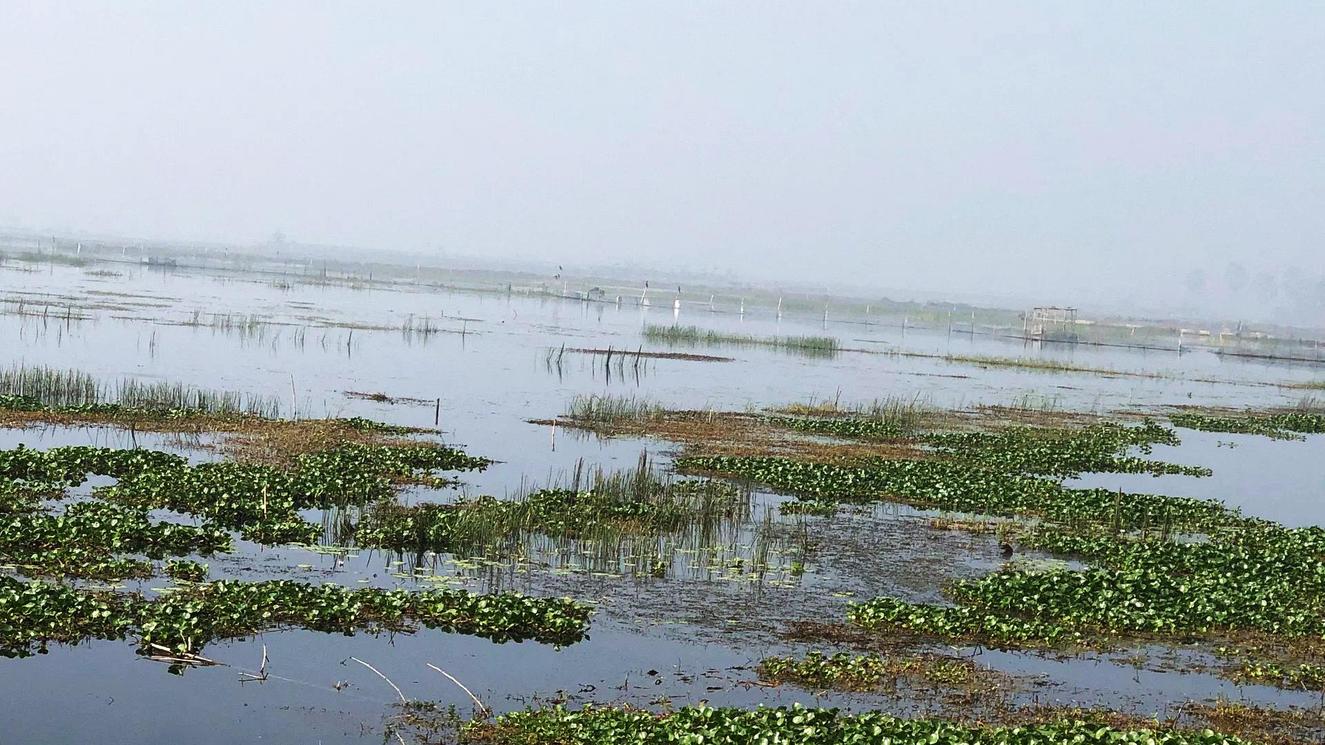 ভবদহে বোরো অনিশ্চিত