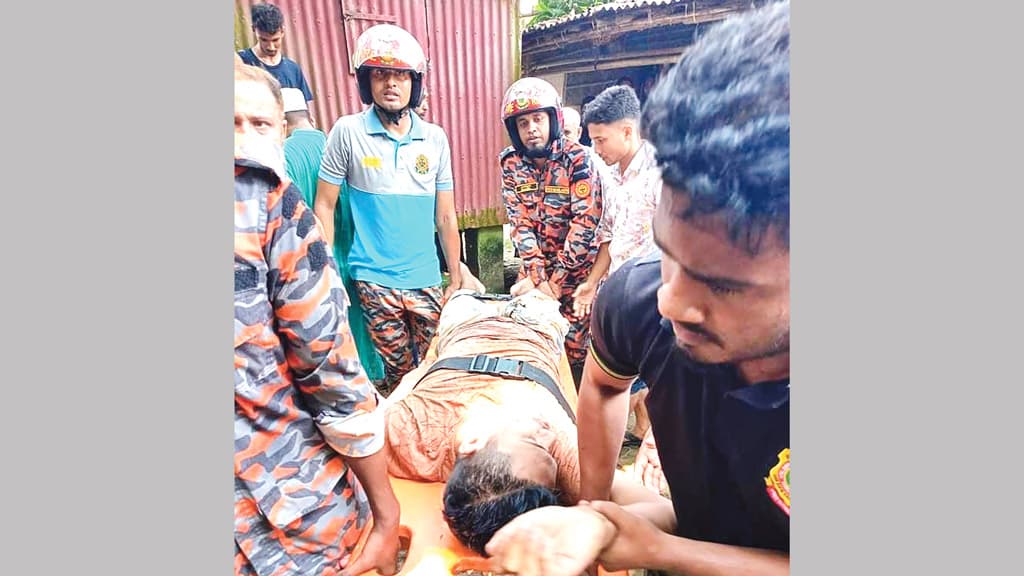 আম পাড়তে গাছে উঠে আতঙ্কিত যুবক, উদ্ধার করল ফায়ার সার্ভিস