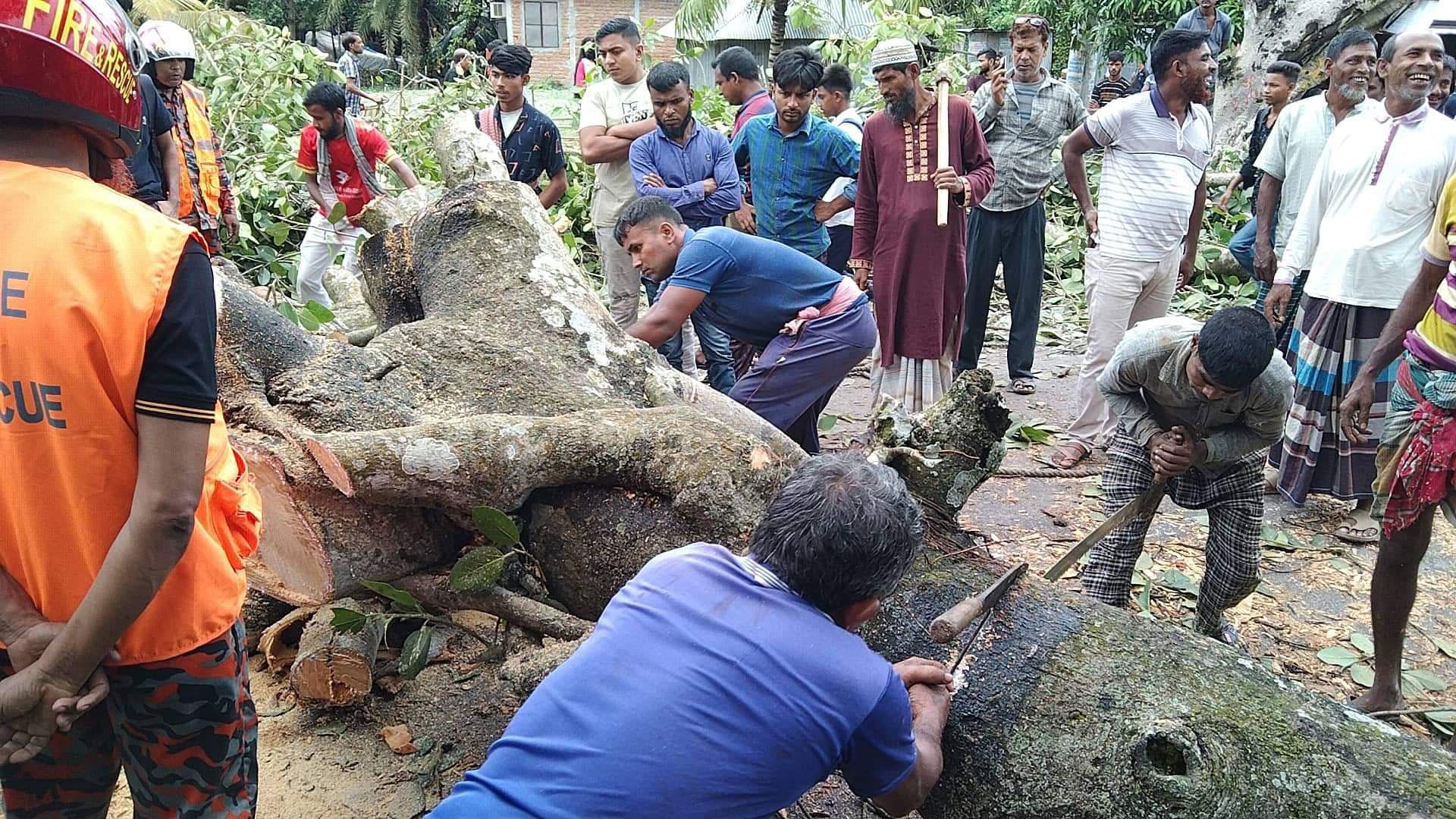 ৮ ঘণ্টা পর ঢাকা-নড়াইল-বেনাপোল সড়কে যান চলাচল শুরু