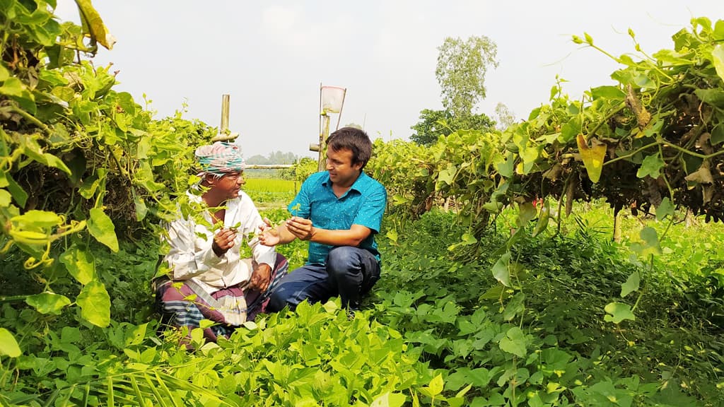 একই জমিতে একাধিক ফসল আবাদ, সুযোগ বাড়তি আয়ের