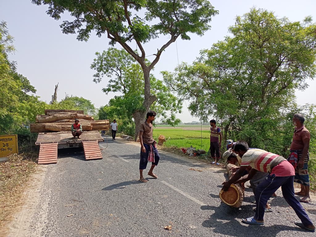 ড্রেন হবে মাত্র ২৫০ মিটার, গাছ কাটা হচ্ছে ২ কিলোমিটারের