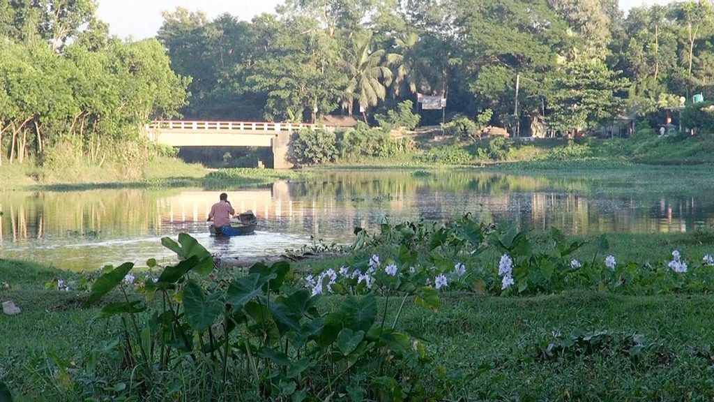 পুকুর ও নদীতে বিষ ঢেলে মাছ শিকার