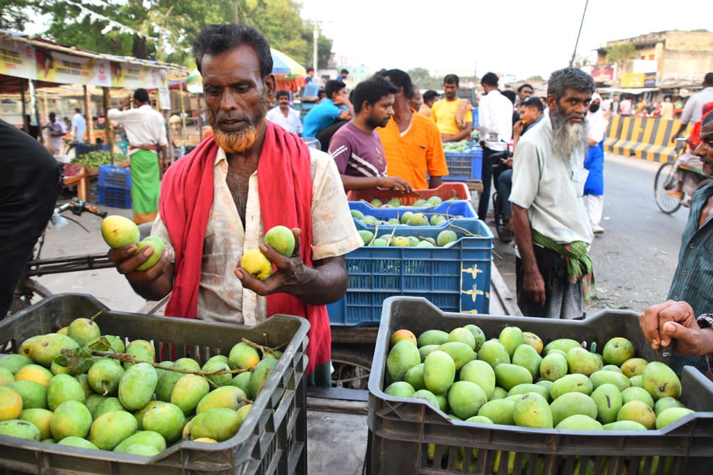 দিনের ছবি (২৫ মে, ২০২৪)