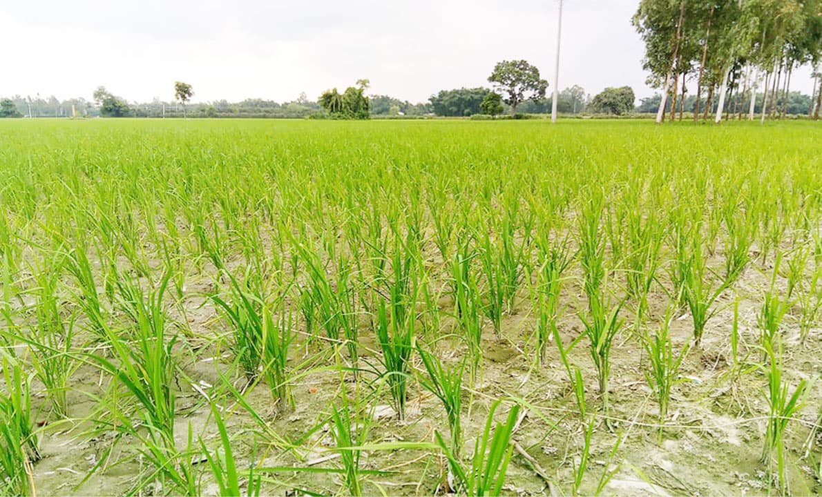 দিনের ছবি (১৭ এপ্রিল, ২০২৩)