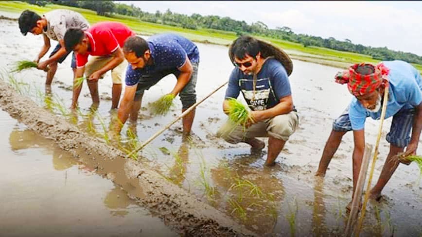 কালো চালের ধান চাষ