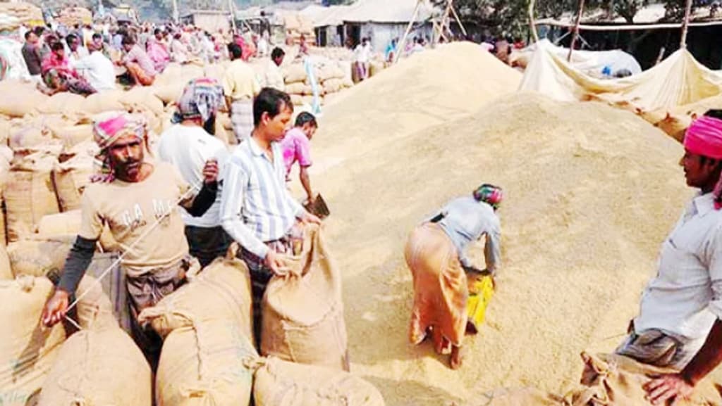 আমতলীতে মণে সাড়ে ৪৬ কেজি ধান নেওয়ার অভিযোগ