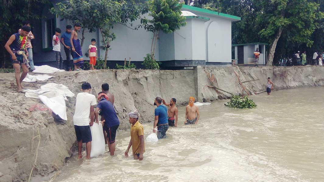 বেড়েছে যমুনায় পানি ও নদী ভাঙন, বানভাসিদের দুর্ভোগ