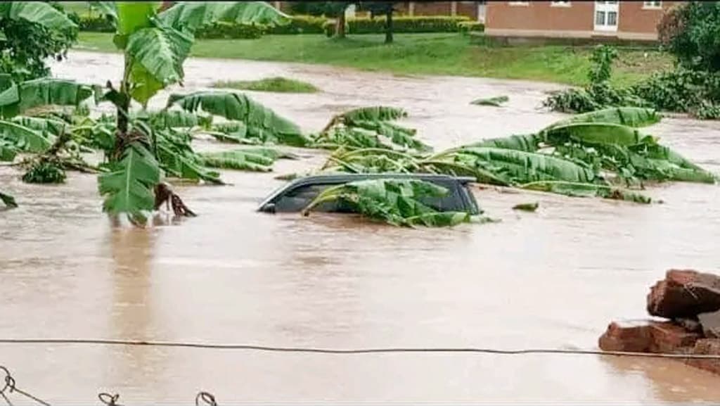 উগান্ডায় প্রবল বন্যায় ২৪ জনের মৃত্যু 