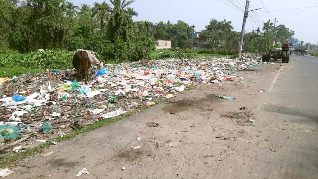 বাগেরহাট পৌরসভায় পাঁচ বছরেও হয়নি বর্জ্যকেন্দ্র, যত্রতত্র ময়লা