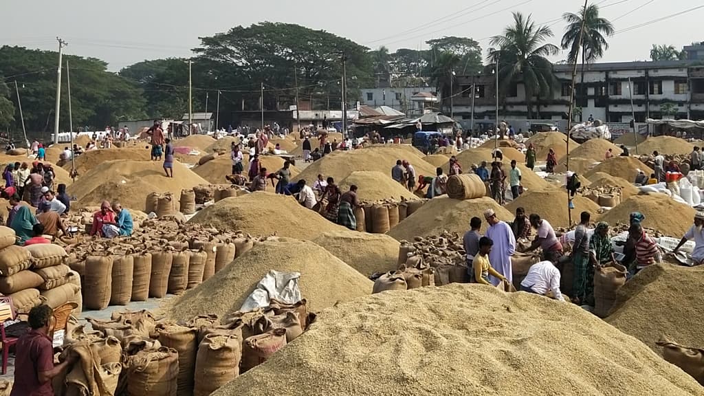 সরকারকে ধান দিতে অনীহা