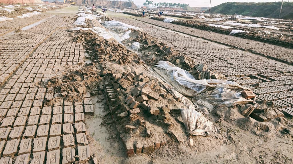 মহম্মদপুরে বৃষ্টিতে কাঁচা ইট নষ্ট, ভাটামালিকদের হাহাকার