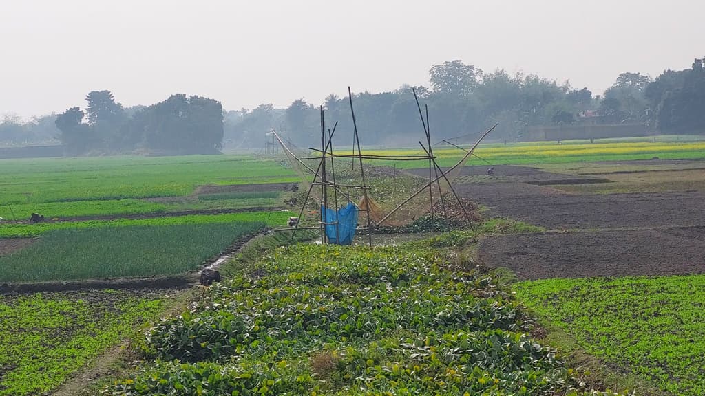 পুকুর খুঁড়ে খাল বন্ধ সরছে না জমির পানি