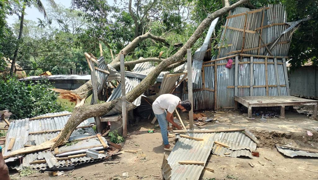 মদনে ঝড়ে ২২৯ ঘরবাড়ি ক্ষতিগ্রস্ত, ফসলের ক্ষতি