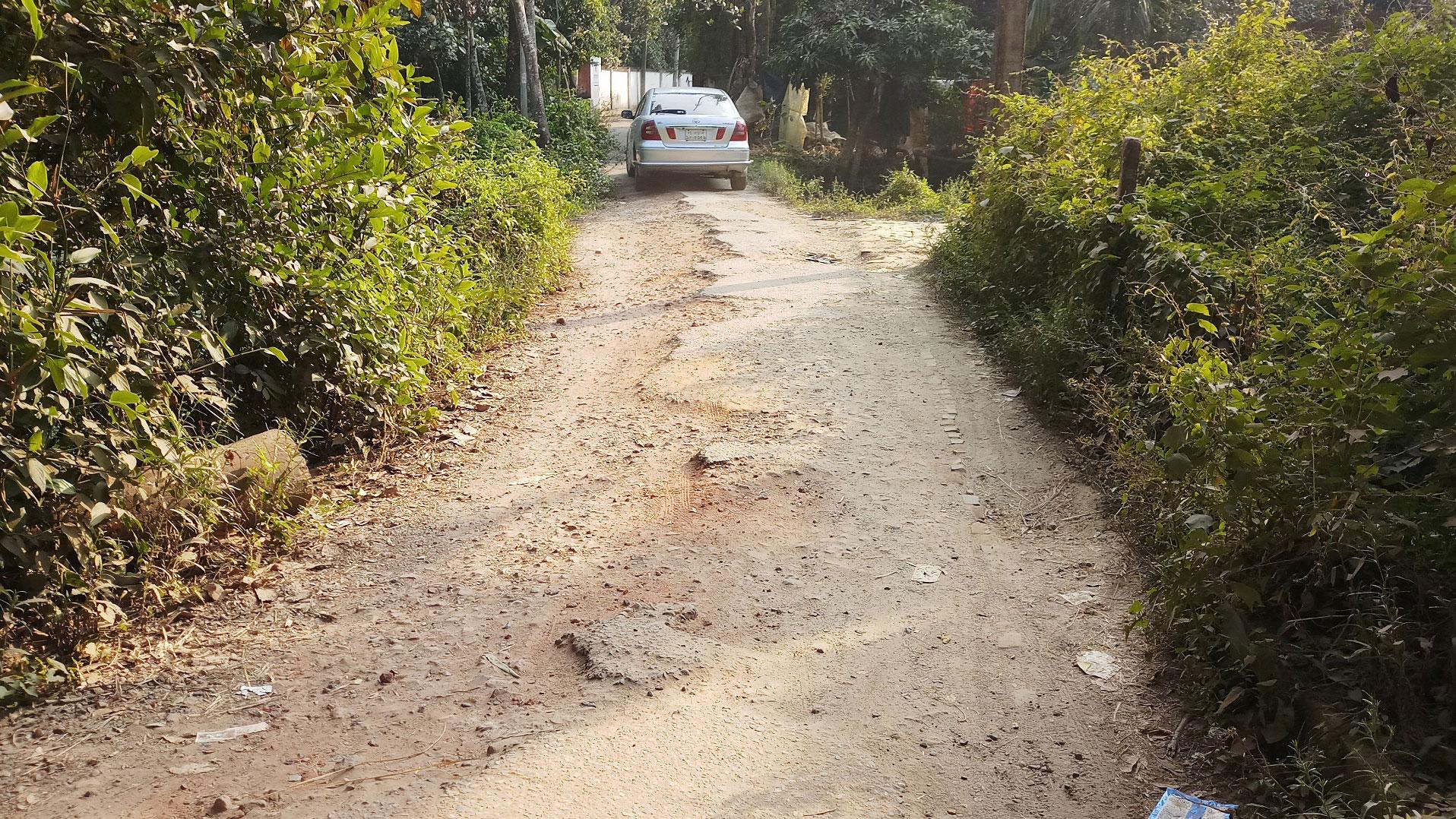 সড়কে নেই কার্পেটিং