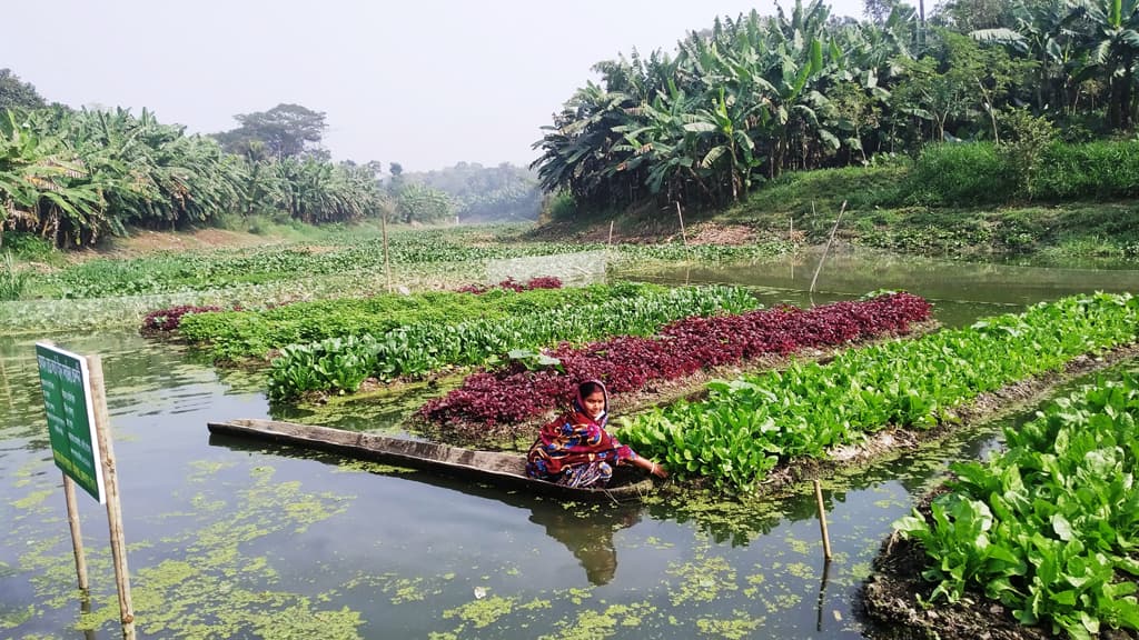 দিশেহারা ৫০ পরিবারে দিশা