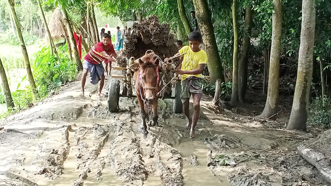 মেলান্দহে কাঁচা রাস্তায় ভোগান্তি ৪ গ্রামের মানুষের 