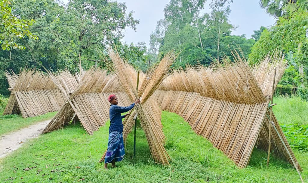 দিনের ছবি (২৭ আগস্ট, ২০২৩)