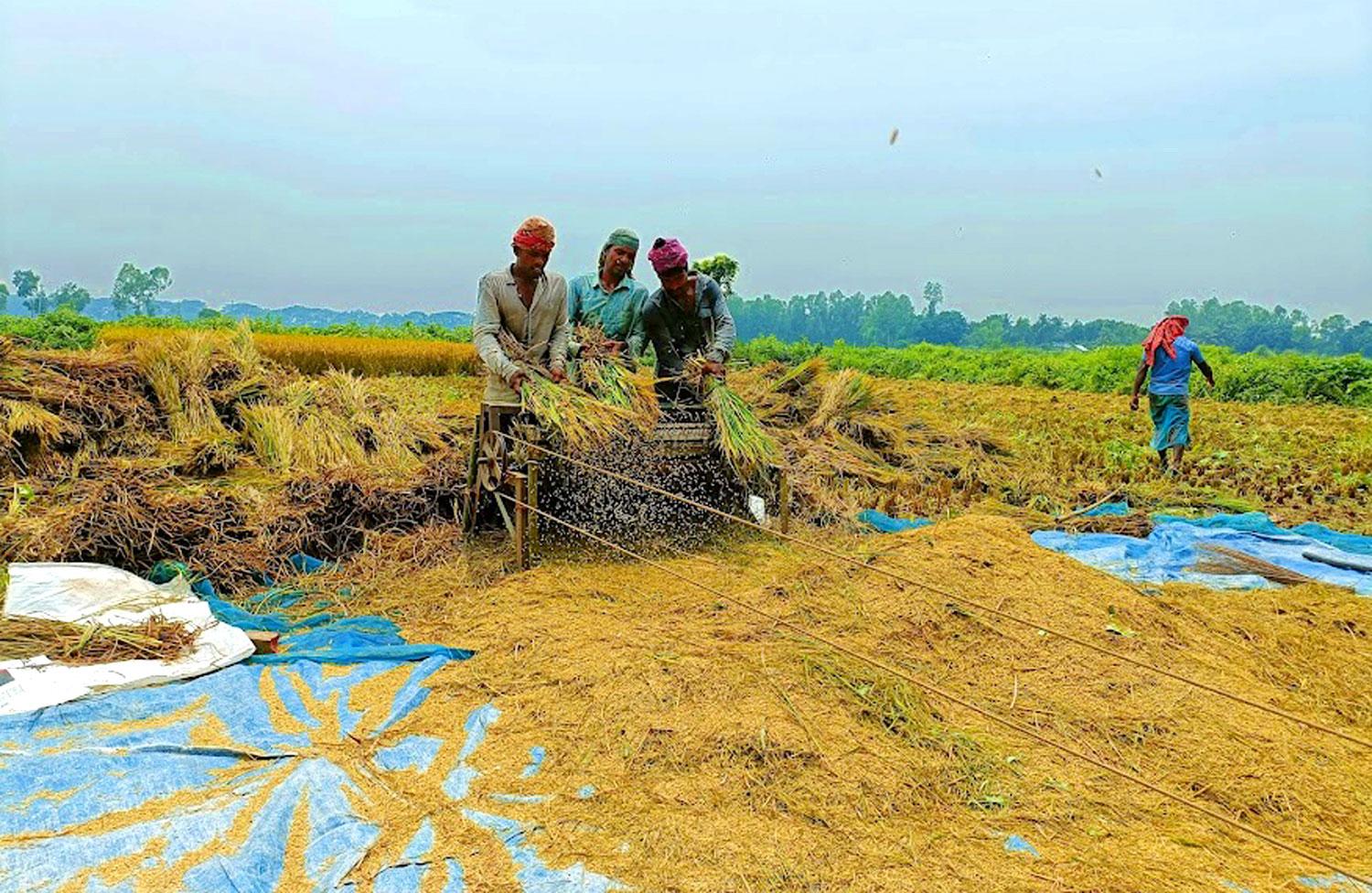 দিনের ছবি (১৪ মে, ২০২৩)