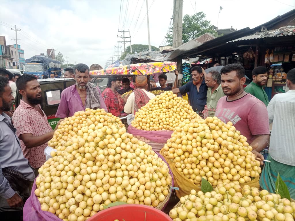 দিনের ছবি (১৪ জুলাই, ২০২৩)