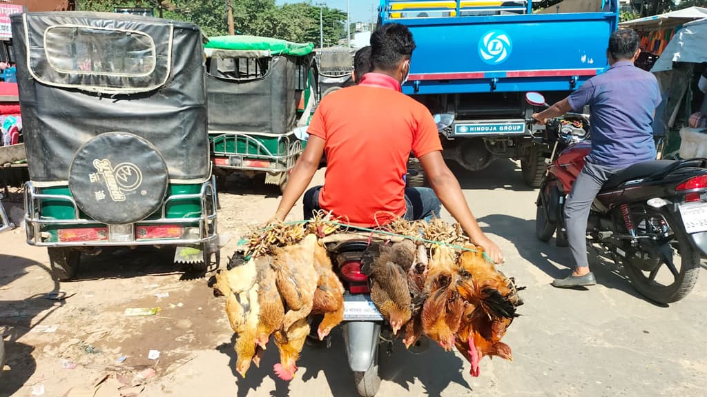 হাঁস-মুরগির প্রতি নিষ্ঠুরতা