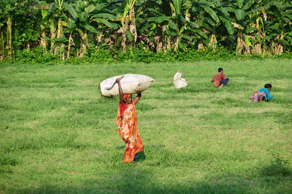 দিনের ছবি (২২ সেপ্টেম্বর, ২০২৩)