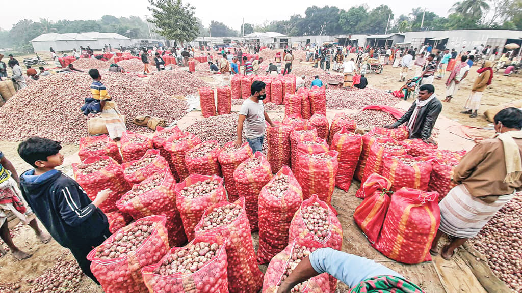 মুড়িকাটায় মন ভালো নেই পেঁয়াজচাষিদের