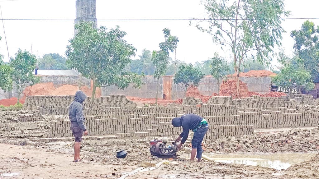 বৃষ্টিতে দুর্ভোগ, ফসল-ভাটার ক্ষতি