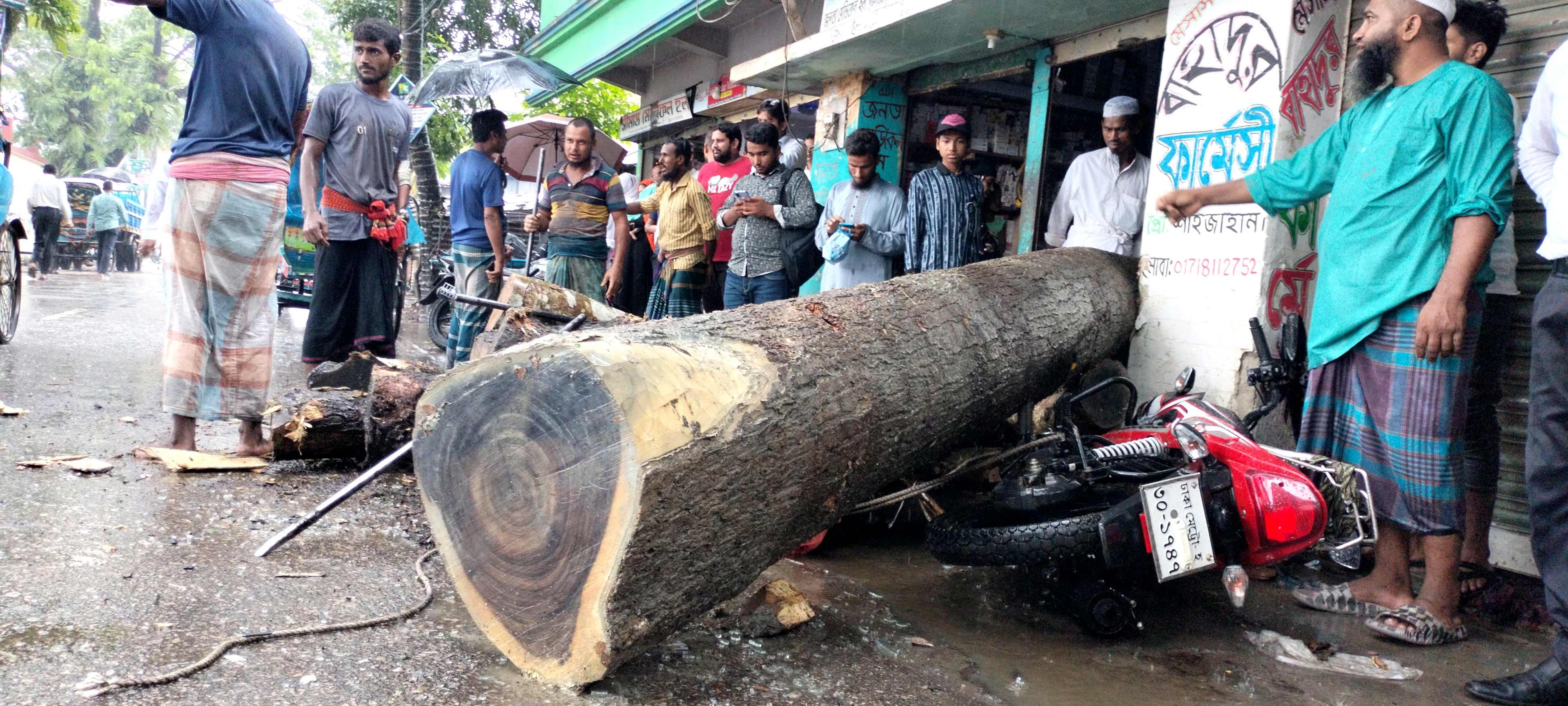 দশমিনায় ট্রলি ও অটোরিকশার সংঘর্ষে আহত ৪ 