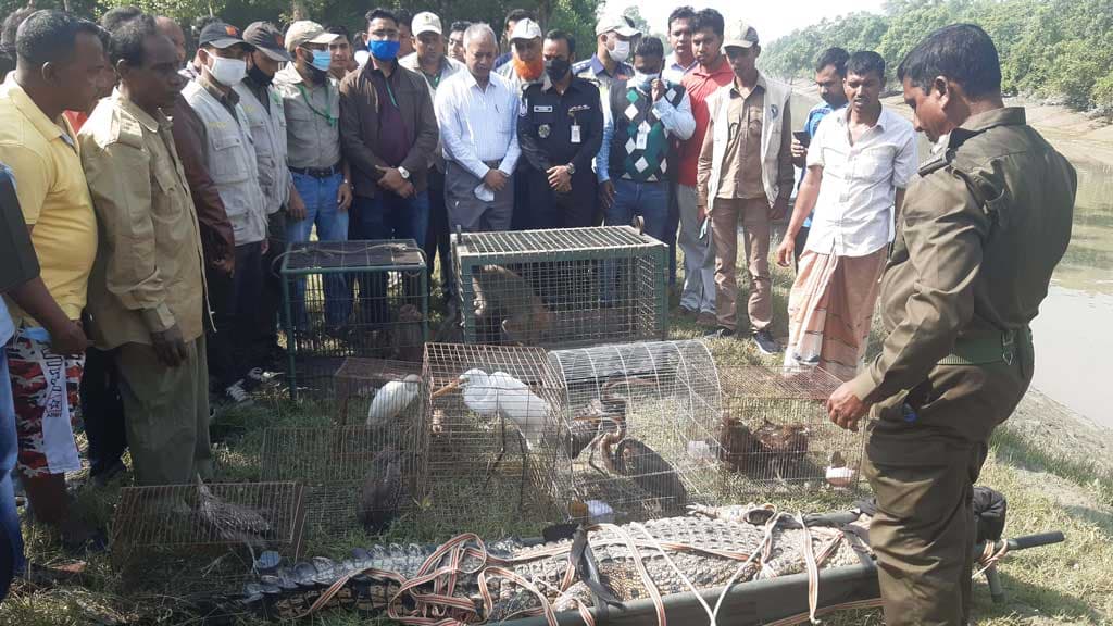 চন্দ্রমহল থেকে উদ্ধার করা বন্য প্রাণী সুন্দরবনে অবমুক্ত