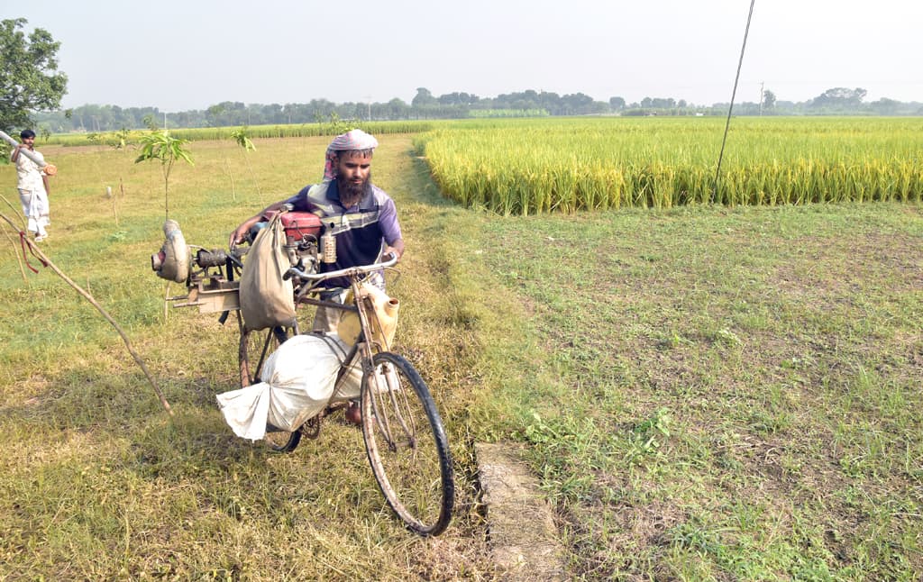 দিনের ছবি (৪ নভেম্বর, ২০২৩)