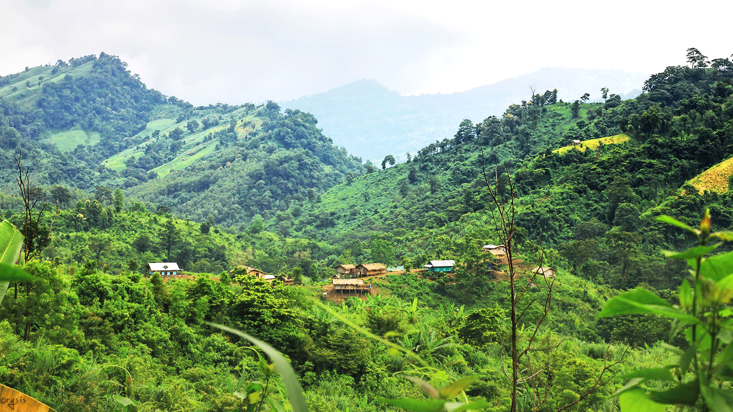 বান্দরবানে যৌথ অভিযানে এক সন্ত্রাসী নিহত