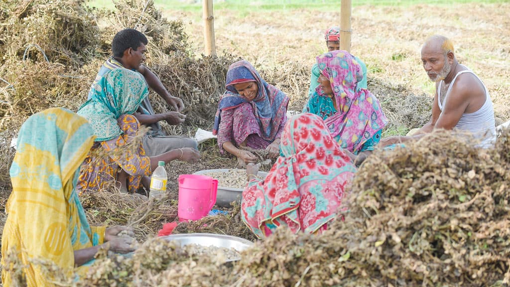 ‘হামার কৃষকের লাভের ধন পিপঁড়ায় খায়া নেয়’