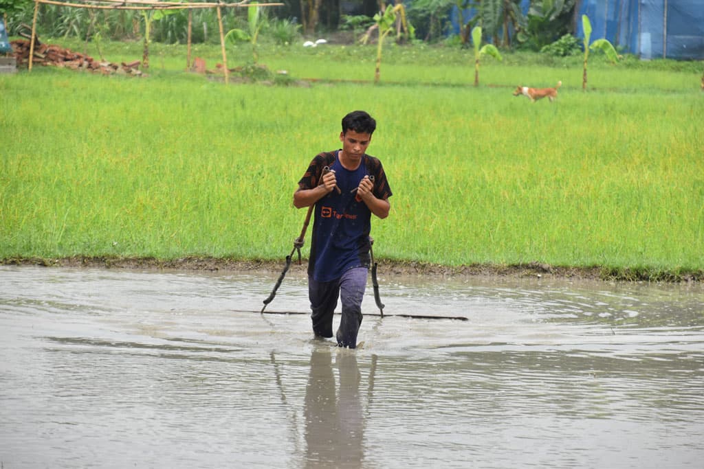 দিনের ছবি (৮ জুলাই ২০২৪)