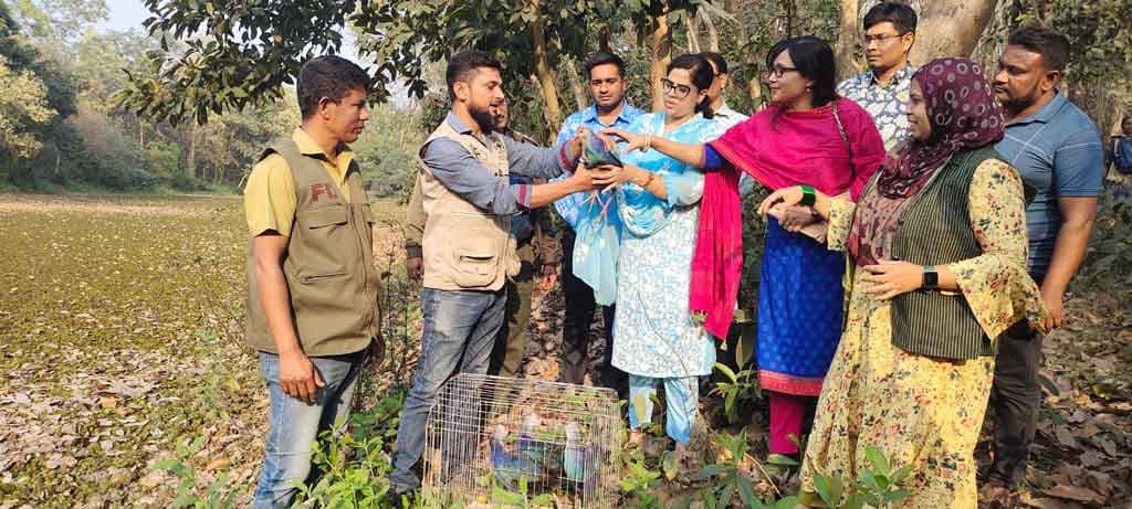 তক্ষক-বাঘডাশসহ ২০টি বন্য প্রাণী উদ্ধার, উদ্যানে অবমুক্ত