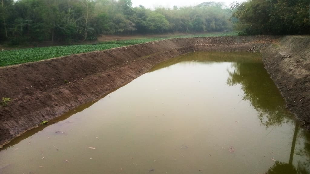 মুক্তেশ্বরী নদীর পাড়ের জায়গা দখল করে পুকুর খনন