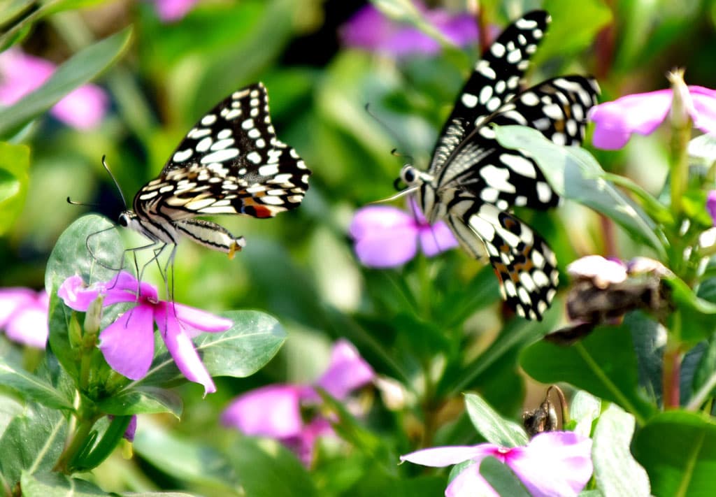 দিনের ছবি (৩০ অক্টোবর, ২০২৩)