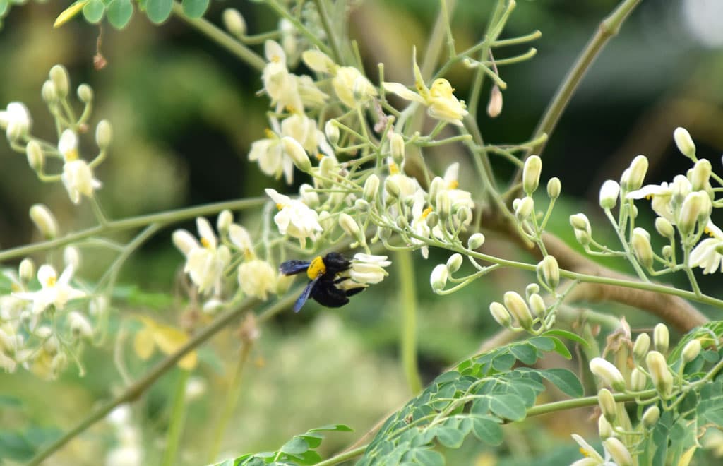 দিনের ছবি (১৯ নভেম্বর, ২০২৩)