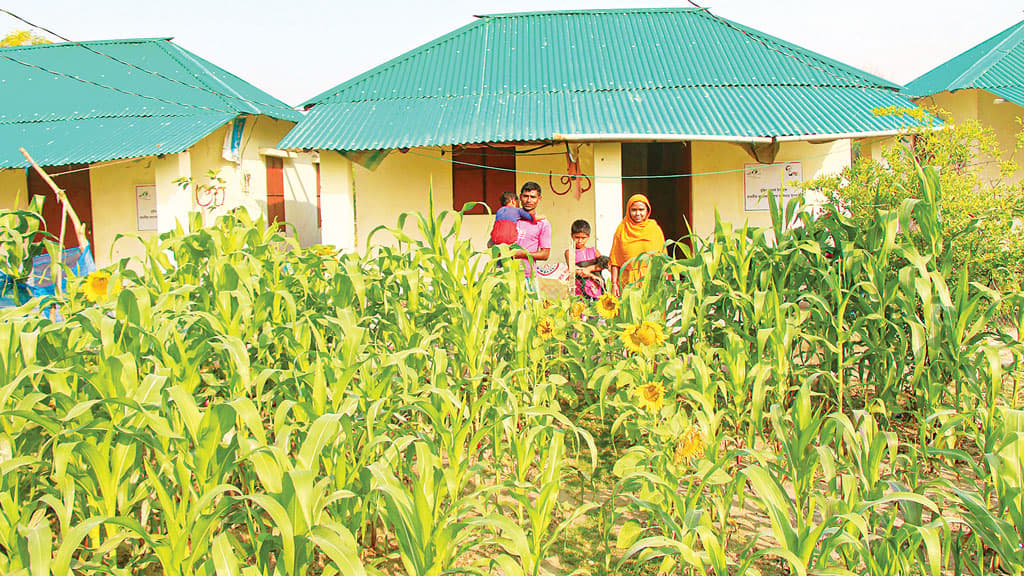 ঘরের পাশে সবজি চাষ