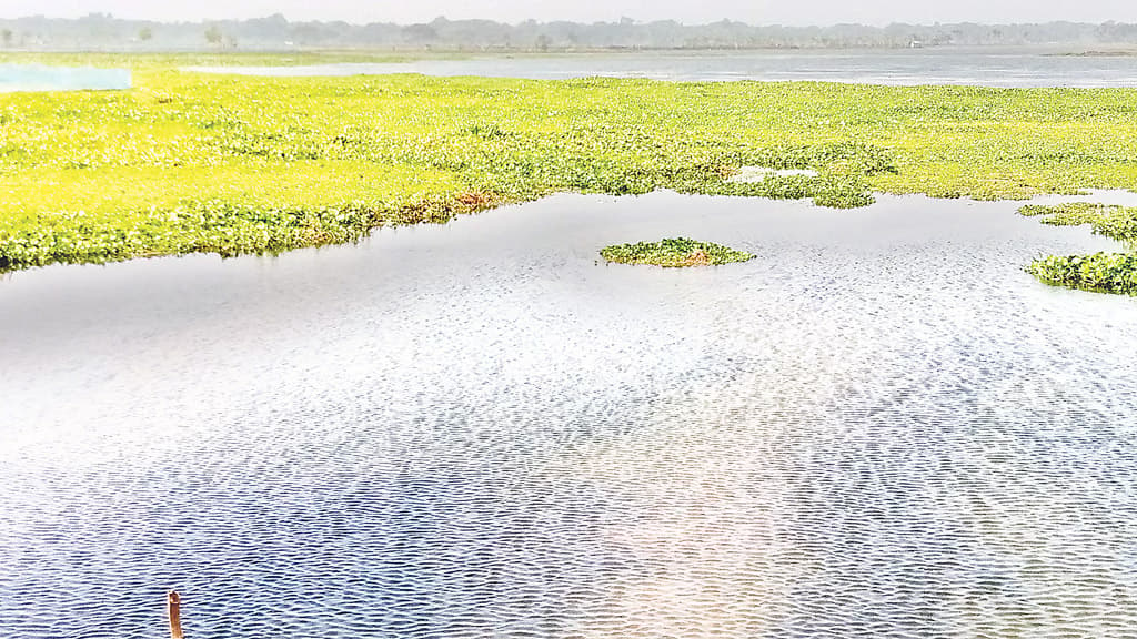 ২৫০ কৃষকের স্বপ্নভঙ্গ