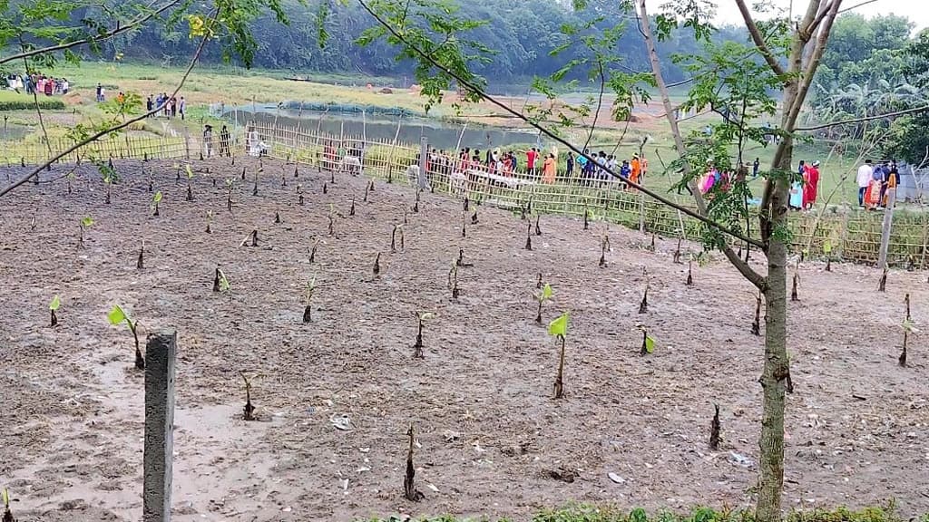 শৈলকুপায় নদীর জমি ও শত বছরের ঘাট দখল, থানায় মামলা