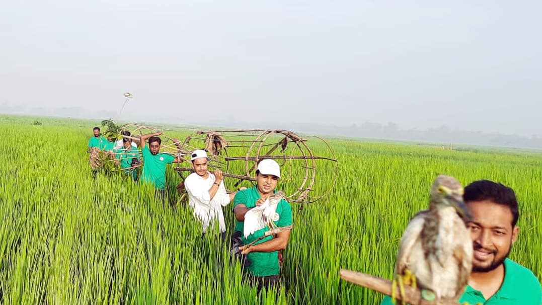 শিকারির ফাঁদ থেকে উদ্ধার পেল ২০ বক