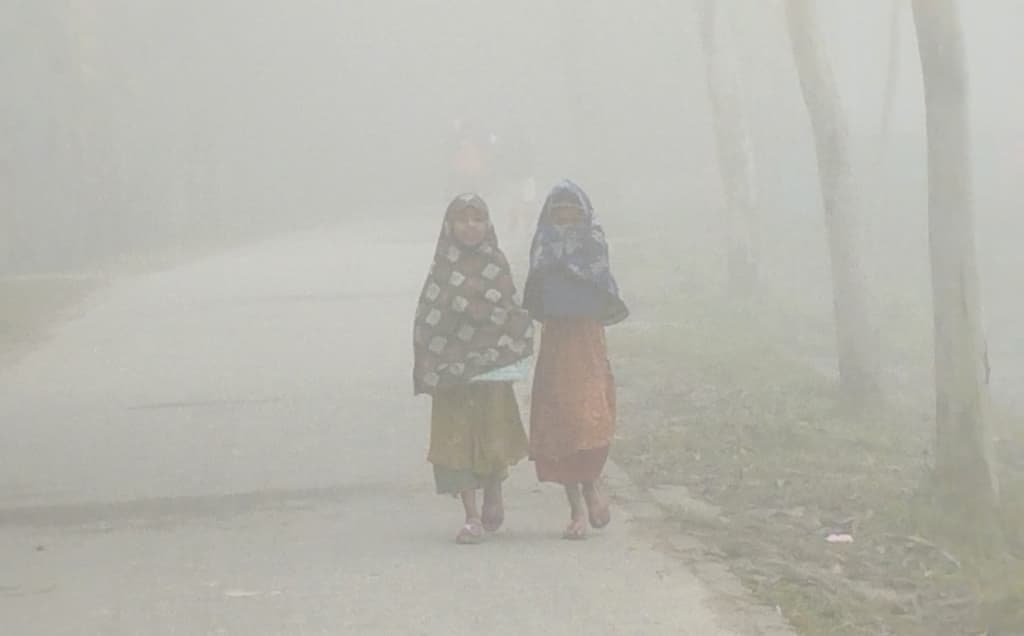 ফুলবাড়ীতে শীত ও কুয়াশায় বিপর্যস্ত জনজীবন