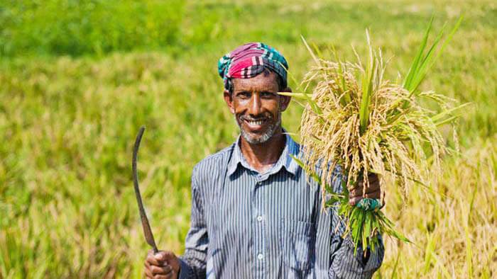 'কৃষি গবেষণায় বরাদ্দ হতাশাজনক' 