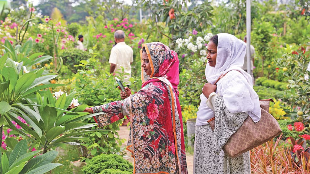 বৃক্ষের মেলায়