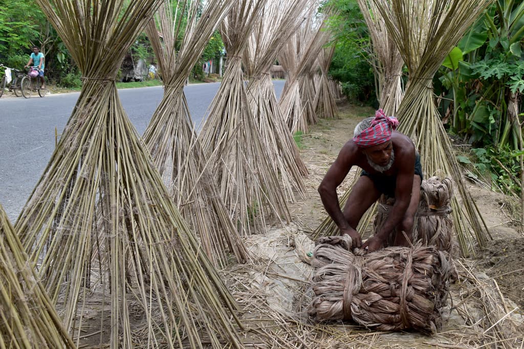 দিনের ছবি (০৭ সেপ্টেম্বর, ২০২৩)